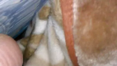 ជើងគ្រូបង្រៀនផ្អែម wank fucking នាយក